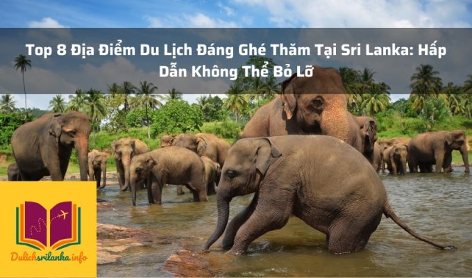 Top 8 Địa Điểm Du Lịch Đáng Ghé Thăm Tại Sri Lanka: Hấp Dẫn Không Thể Bỏ Lỡ