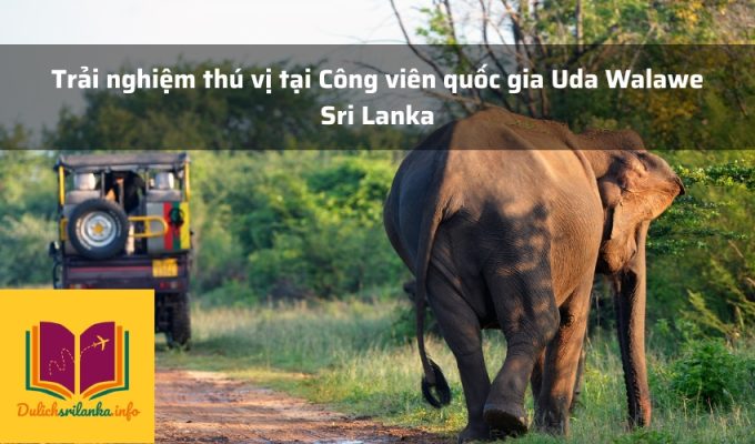 Trải nghiệm thú vị tại Công viên quốc gia Uda Walawe Sri Lanka