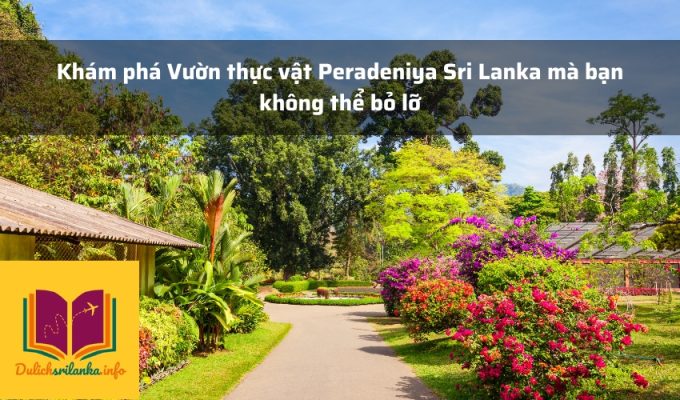 Khám phá Vườn thực vật Peradeniya Sri Lanka mà bạn không thể bỏ lỡ