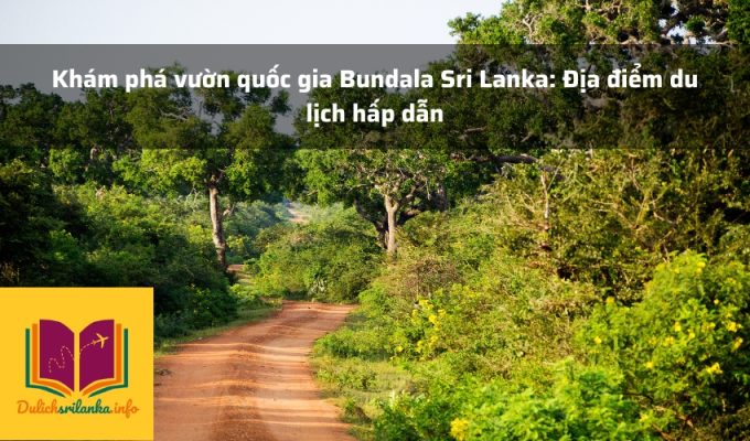 Khám phá vườn quốc gia Bundala Sri Lanka: Địa điểm du lịch hấp dẫn