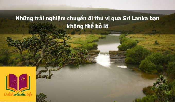 Những trải nghiệm chuyến đi thú vị qua Sri Lanka bạn không thể bỏ lỡ