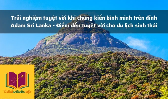 Trải nghiệm tuyệt vời khi chứng kiến bình minh trên đỉnh Adam Sri Lanka - Điểm đến tuyệt vời cho du lịch sinh thái